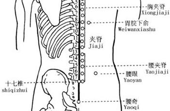 腰眼穴,身体的"护腰穴"——超老师 - 威海推拿培