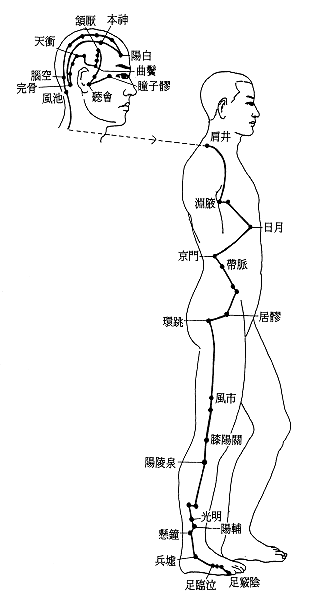 胆经.gif